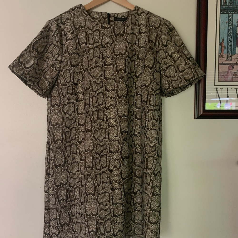 Zara snake print boxy short sleeve dress Large
